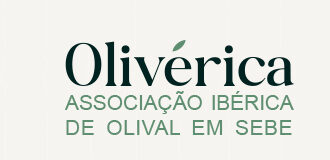 logo portugues