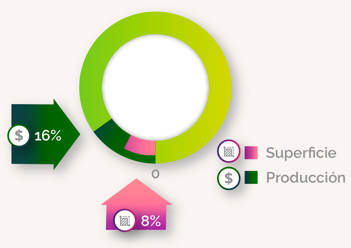 Superficie y producción